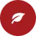 a-icn2